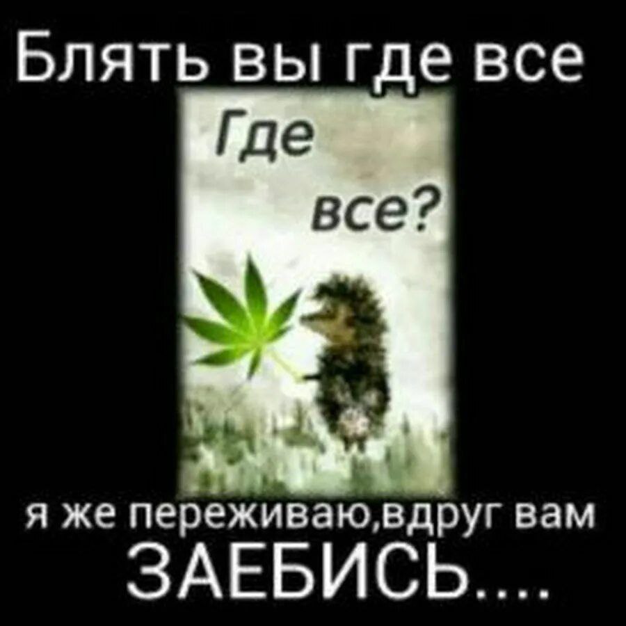 Блять вы где все Где все? я же переживаю вдруг вам ЗАЕБИСЬ