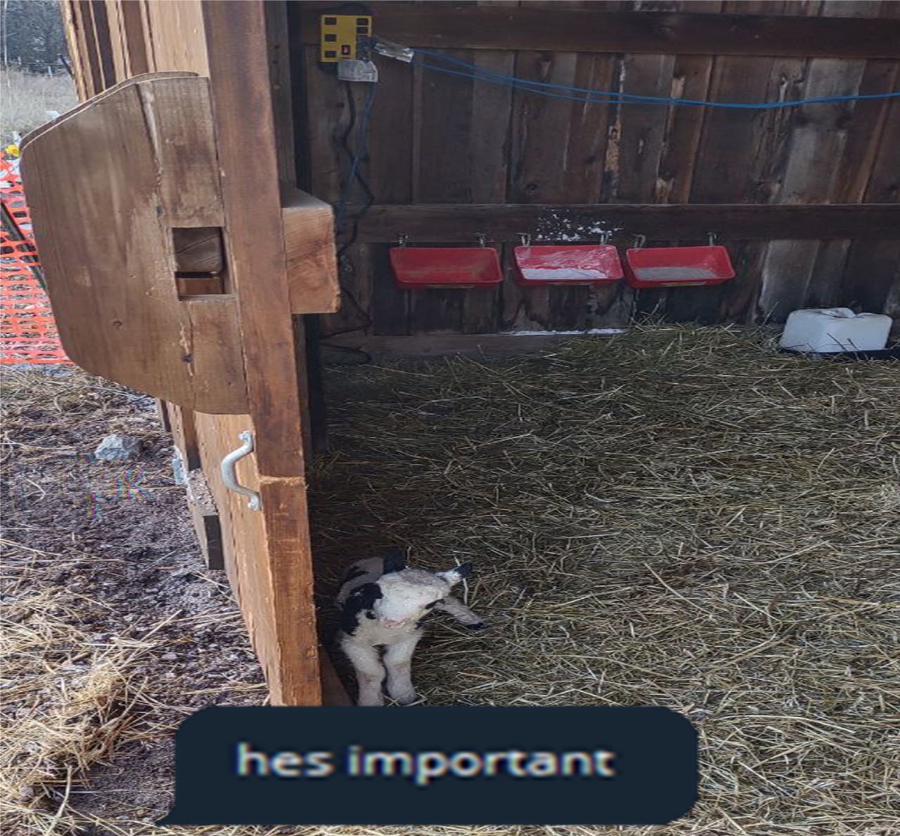 1. о 71 a я а 4 8 i, iF 4 а в 5 2 hes i 5 important Бы