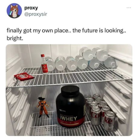 ргоху @proxysir 9 finally got my own place.. the future is looking bright 18)