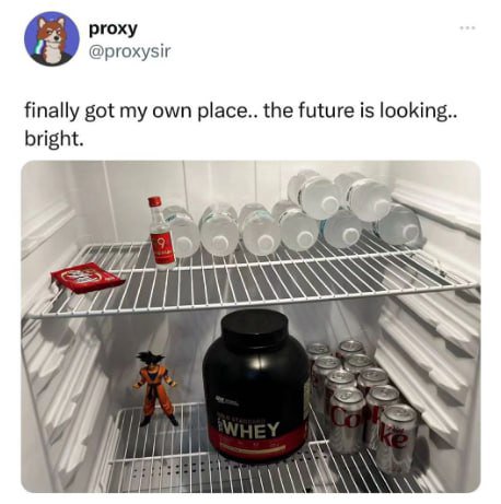 ргоху @proxysir 9 finally got my own place.. the future is looking bright 18)