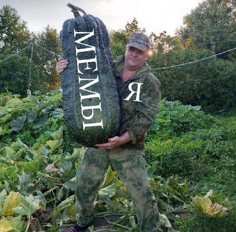 я