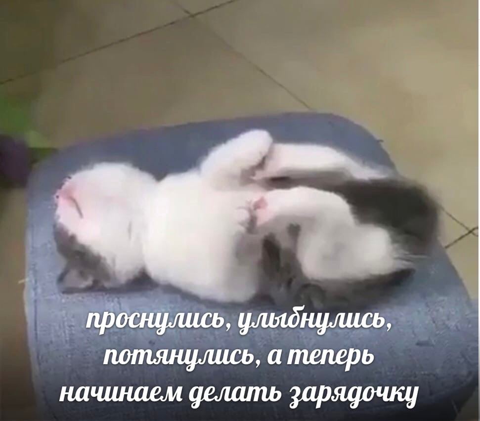 проснулись, ульднулись, потянулись, а теперь начинаем делать зарядочку