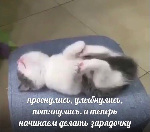 проснулись, ульднулись, потянулись, а теперь начинаем делать зарядочку