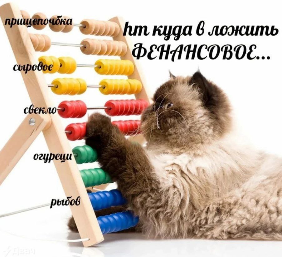 куда 6 ложить ФЕНИНСОВОЕ... К огуреци We