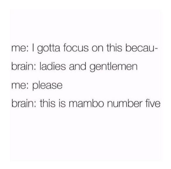 me: gotta focus this becau- brain: ladies and gentlemen me: please brain: this is mambo number five