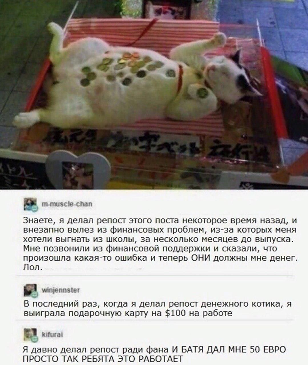Вы знаете, что делать