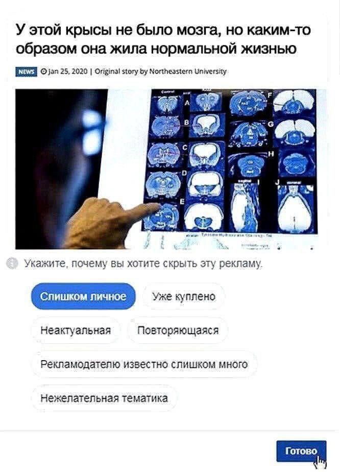 У этой крысы не было мозга, но каким-то образом она жила нормальной жизнью 25, 2020 Original story Northeastern University A "A В) 6 is и укажите, почему вы хотите скрыть эту рекламу. Слишком пичное У