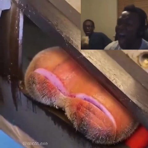 мем