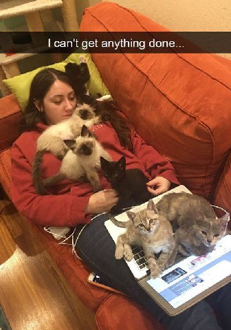 can't get anything done...