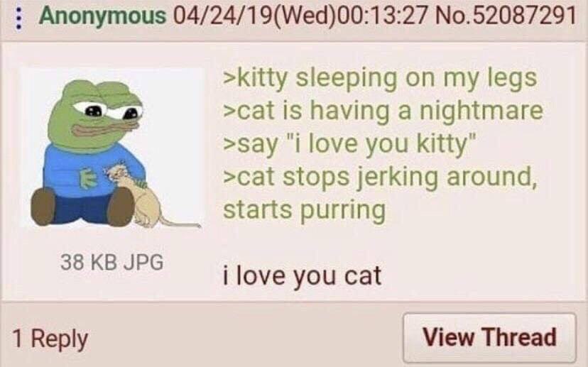 Anonymous 04/24/19(Wed)00:13:27 No.52087291 >kitty sleeping on my legs >cat is having a nightmare >say “i love you КМУ" >cat stops jerking around, Starts purring 38 JPG i love you cat 1 Reply View Thr