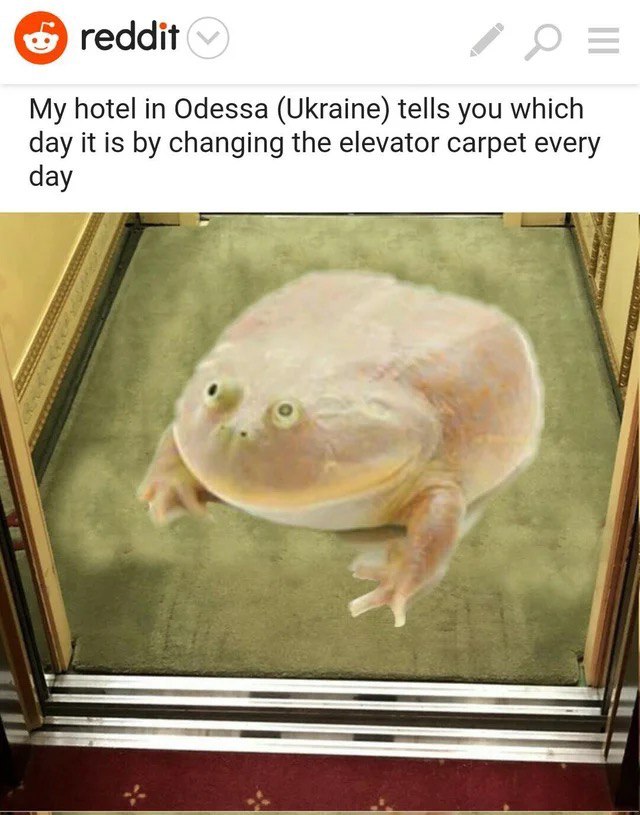 reddit My hotel in Odessa (Ukraine) tells you which day it is changing the elevator carpet every day a