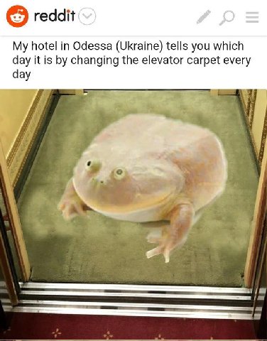 reddit My hotel in Odessa (Ukraine) tells you which day it is changing the elevator carpet every day a