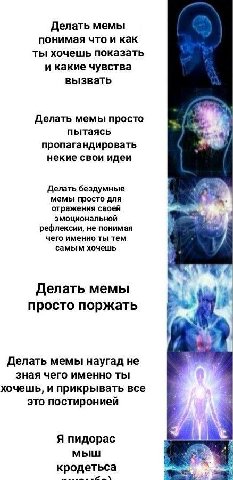 Делать мемы понимая что и как ты хочешь показать и какие чувства вызвать Делать мемы просто пытаясь пропагандировать некие свои идеи Делать бездумные мемы просто для отражения своей эмоциональной рефл