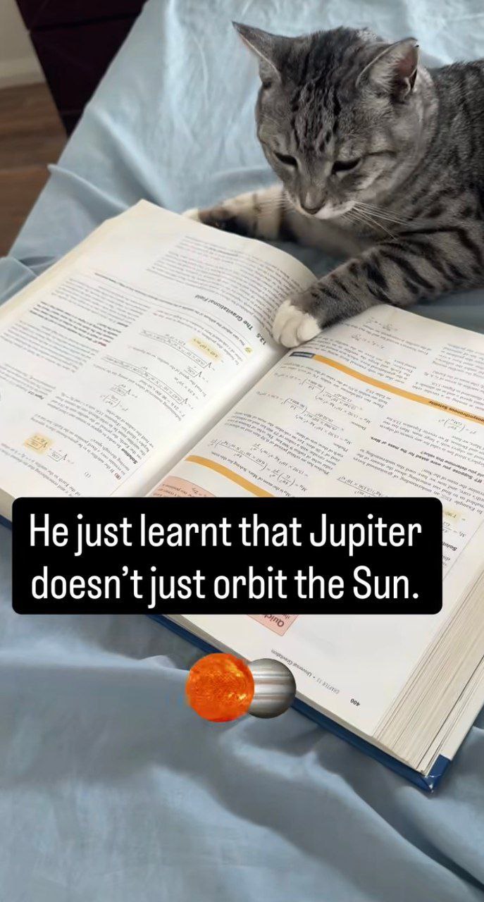 He just learnt that Jupiter tjust orbit the Sun.