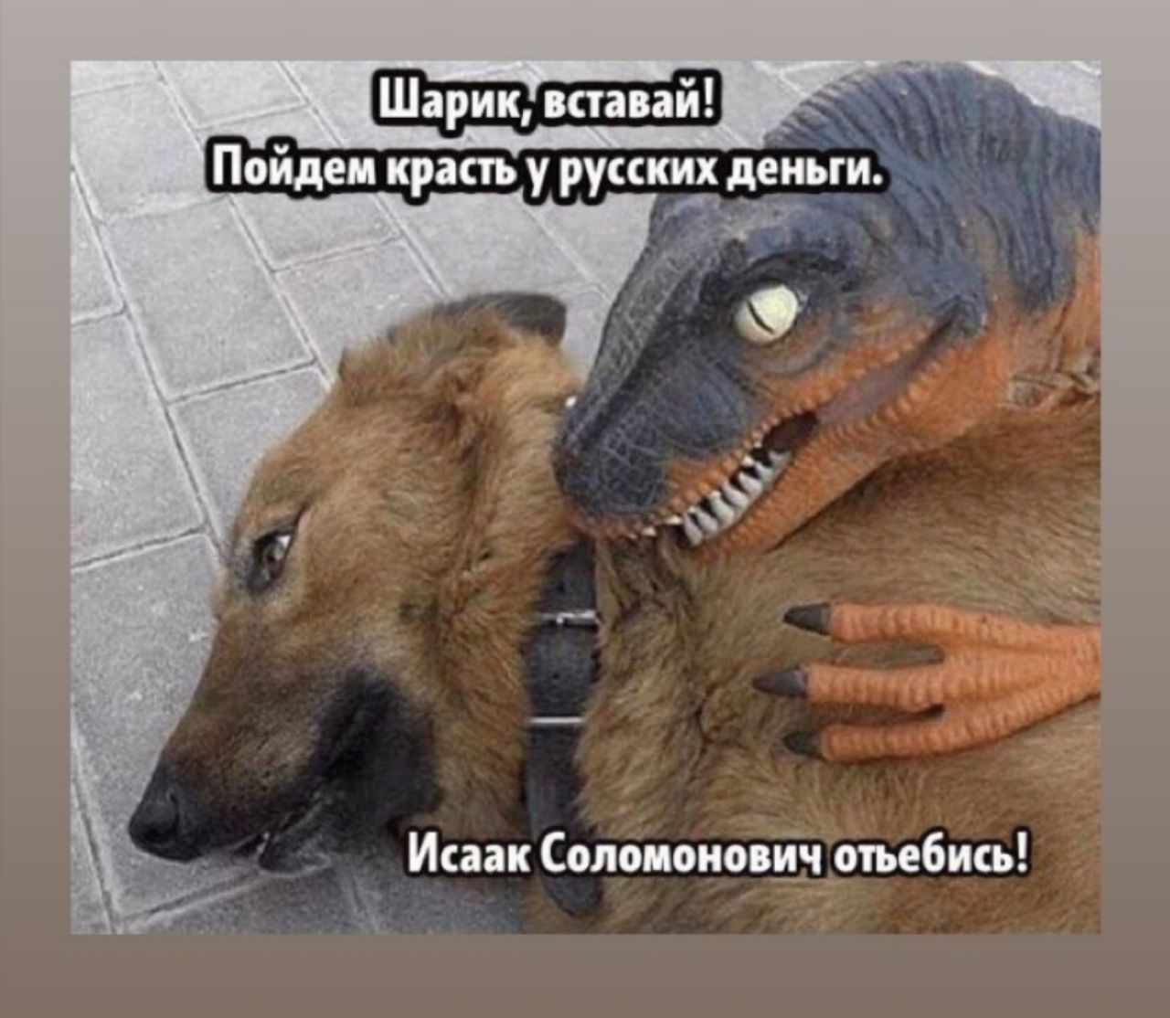 Шарик, вставай! Пойдем красть у русских деньги. Исаак Соломонович отьебись!
