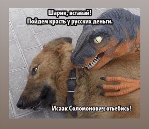 Шарик, вставай! Пойдем красть у русских деньги. Исаак Соломонович отьебись!