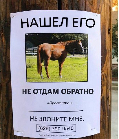 напоиинаю