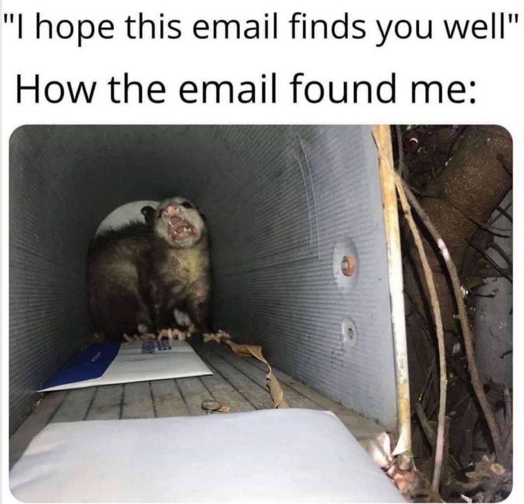hope this email finds you How the email found me: