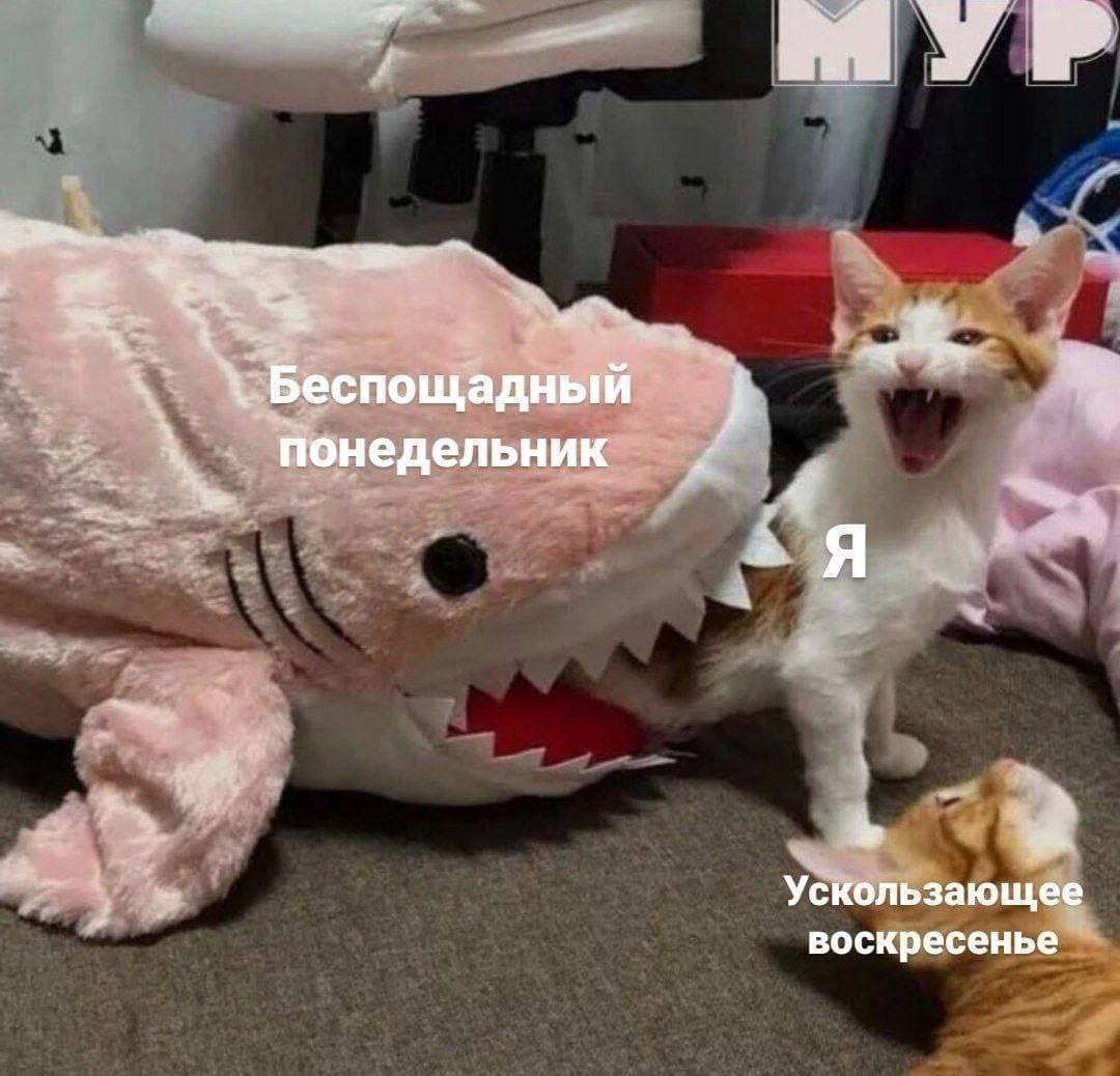 МУР a Беспощадный 4 понедельник Я Ускользающее воскресенье