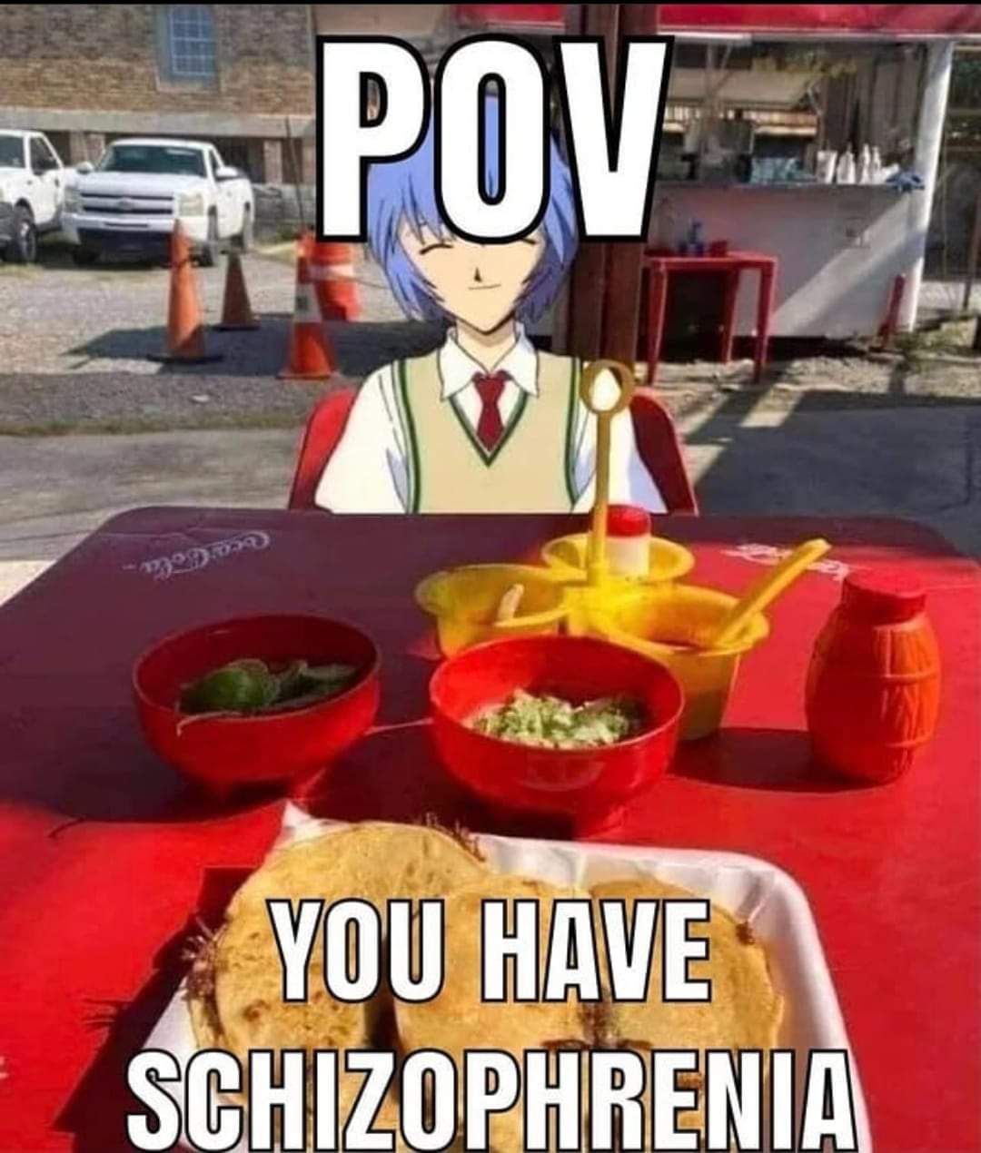 POV HAVE