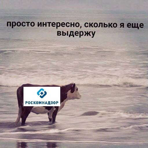 просто интересно, сколько я еще выдержу РОСКОМНАДЗОР