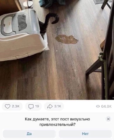 ВО 19 Kak думаете, этот пост визуально привлекательный? Да Нет