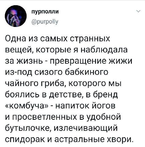 пурполли @purpolly Одна из самых странных вещей, которые я наблюдала за жизнь превращение жижи из-под сизого бабкиного чайного гриба, которого мы боялись в детстве, в бренд «комбуча» напиток йогов и п