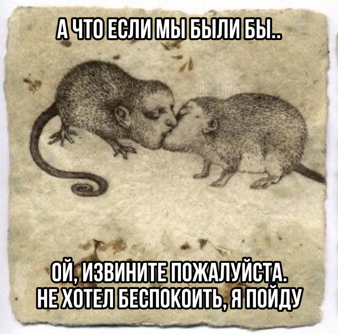 цмоки
