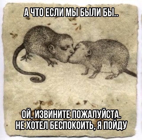 цмоки