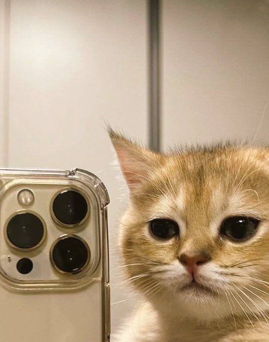 1 4 1 a fae у в 2a у i у