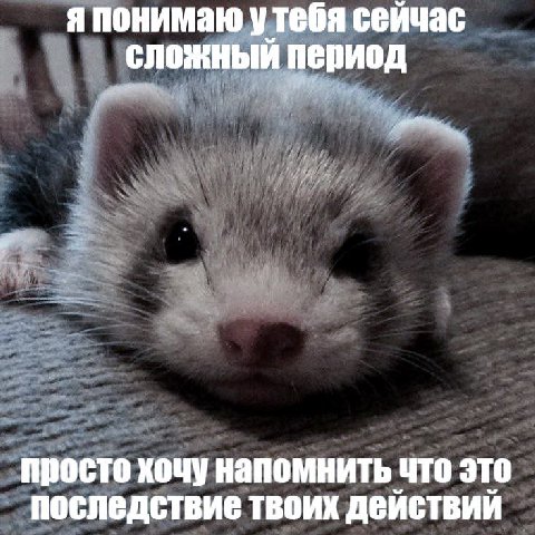 я понимаю утебя сейчас сложный период просто хочу напомнить что это последствие твоих действий