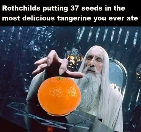 Rothchilds putting 37 seeds the most delicious tangerine you ever ate