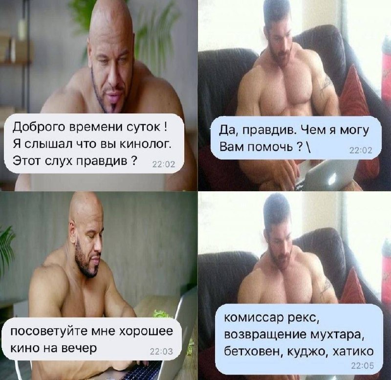 Доброго времени суток Да, правдив. Чем я могу Я слышал что вы кинолог. Вам помочь 22:02 Этот слух правдив 4 4 a комиссар рекс, посоветуите мне хорошее возвращение мухтара, кино на вечер 22:03 бетховен