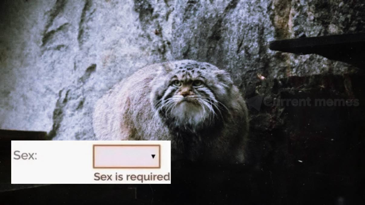 the У Sex Sex is req red