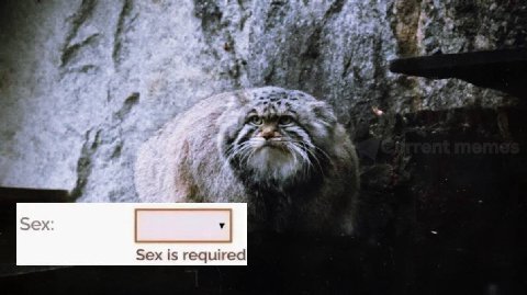 the У Sex Sex is req red