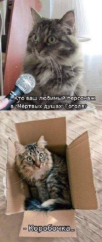 1 Кто ваш любимый персонаж в "Мёртвых душах" -Коробочка...