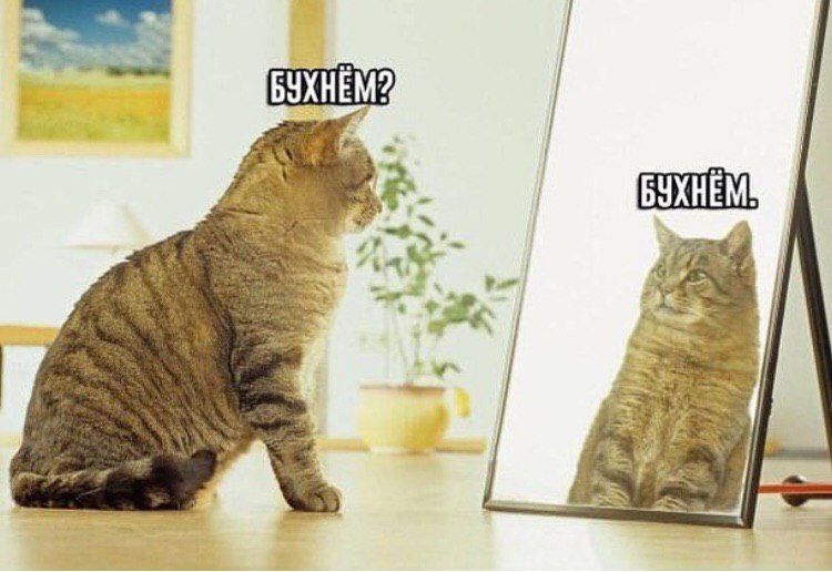 a “SESS 3 К 5 и