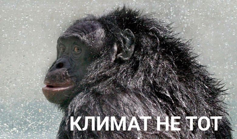 rate he 1 А AS Я И