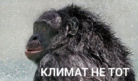 rate he 1 А AS Я И