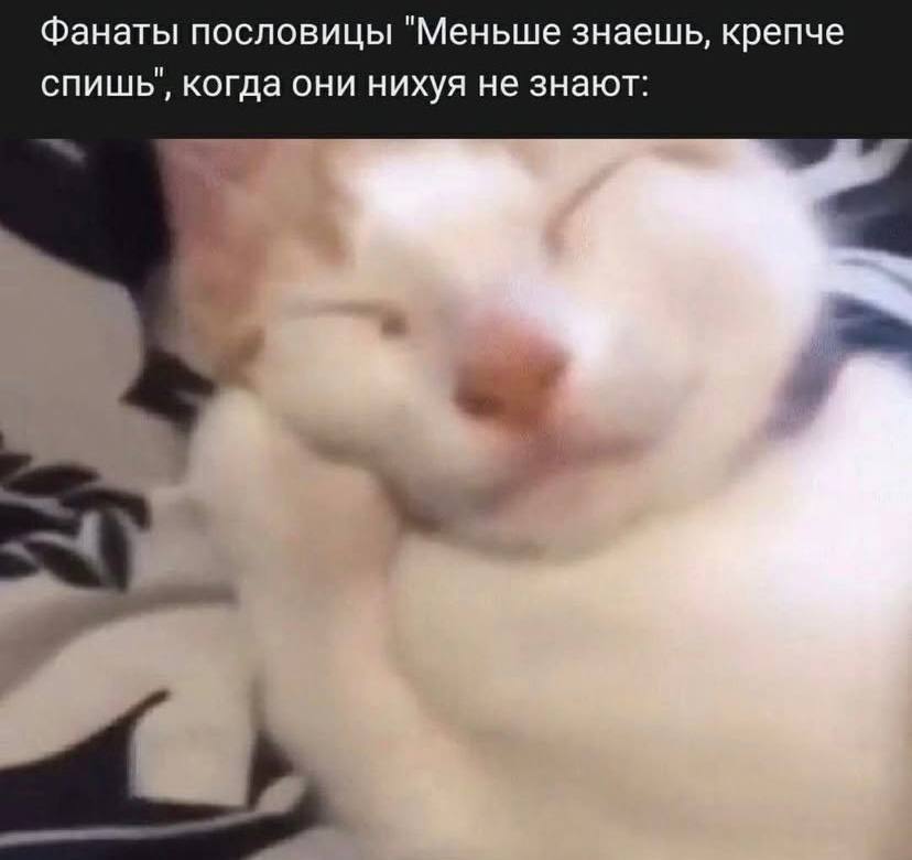 Фанаты пословицы "Меньше знаешь, крепче спишь', когда они нихуя не знают: