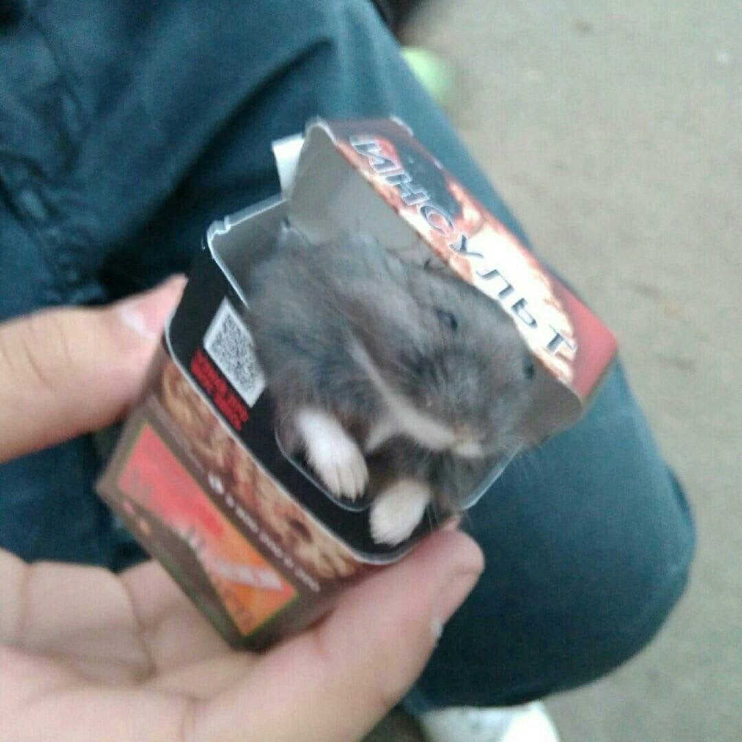 2 у