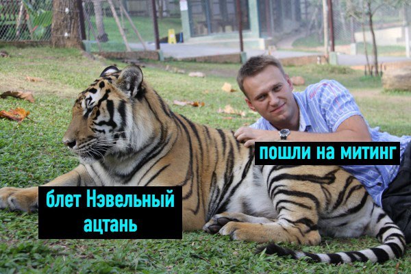 ‘A ПОШЛИ На МИТИНГ! блет Нэвельный ацтань A