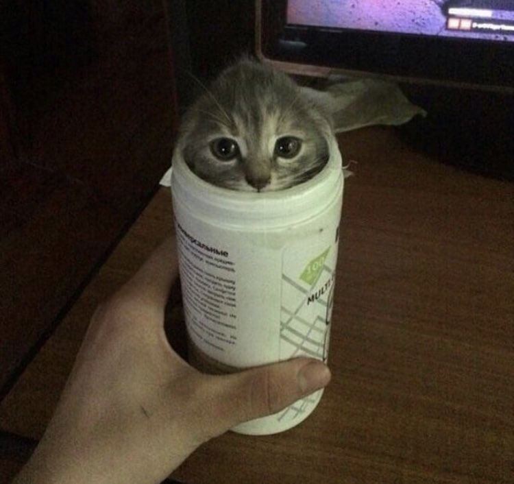 4 4