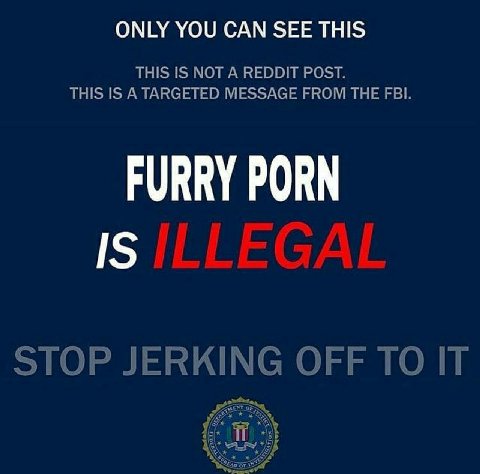 ONLY YOU CAN SEE THIS THIS IS NOT A REDDIT POST. THIS IS A TARGETED MESSAGE FROM THE FBI. FURRY PORN IS