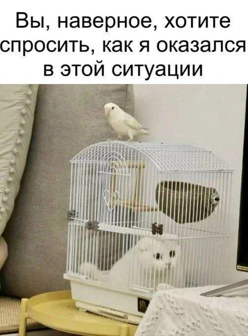 Вы, наверное, хотите спросить, как я оказался в этой ситуации Mil