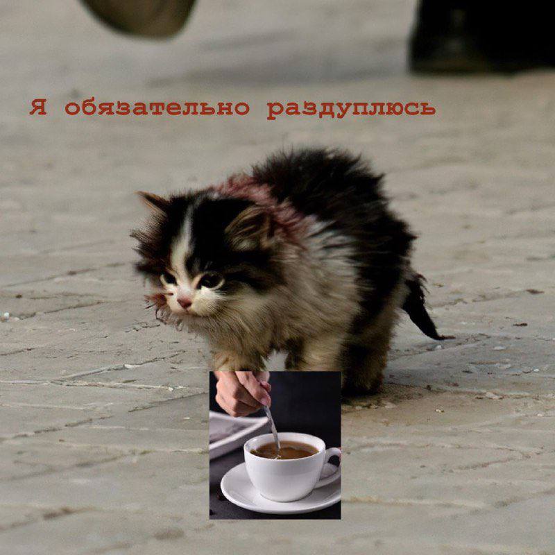 Я обязательно раздуплюсь at