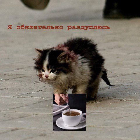 Я обязательно раздуплюсь at