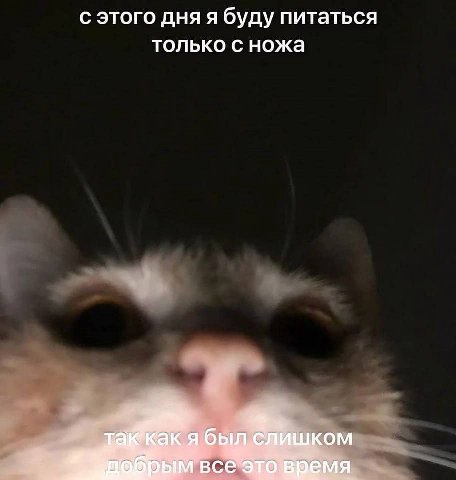 С ЭТОГО GHA A буду питаться только с ножа а был шком все емя