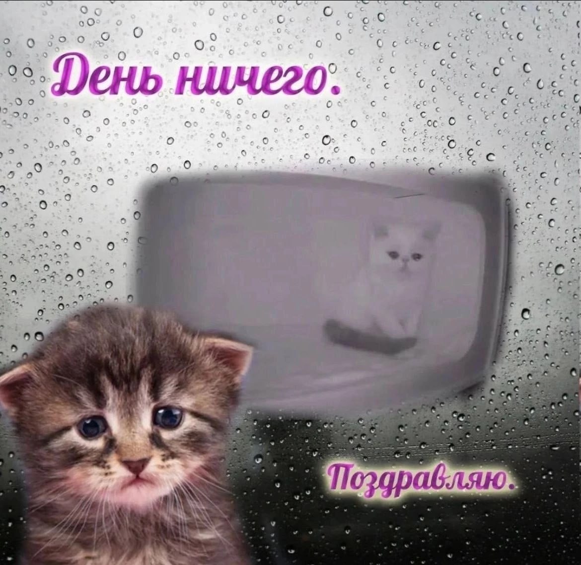о о 6) о о 09 20 6,0 cue BES о о о 0° с, 52 Поздравляю