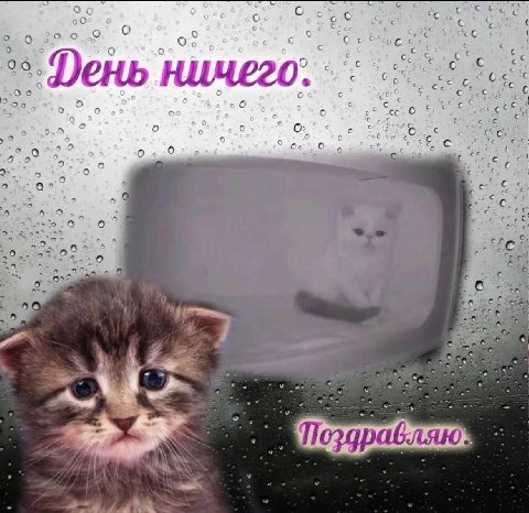 о о 6) о о 09 20 6,0 cue BES о о о 0° с, 52 Поздравляю